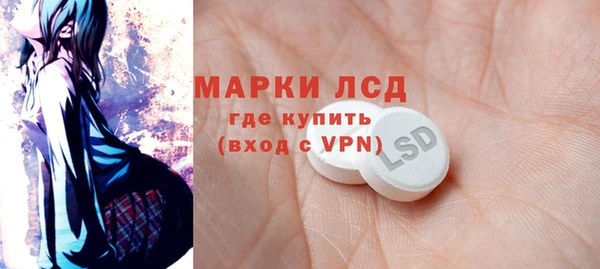 apvp Бикин