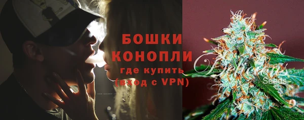 ПСИЛОЦИБИНОВЫЕ ГРИБЫ Верхнеуральск
