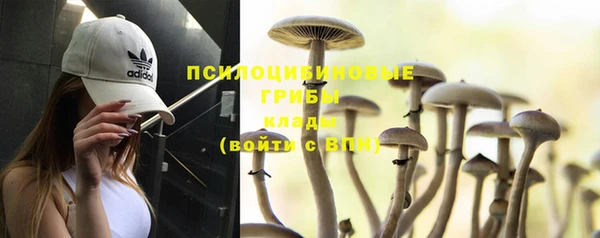 ПСИЛОЦИБИНОВЫЕ ГРИБЫ Верхнеуральск
