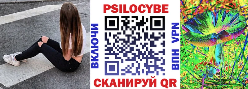 Псилоцибиновые грибы Psilocybine cubensis  Велиж 